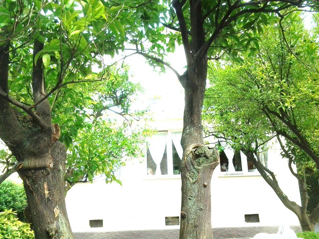 Hotel Piccolo Eden Nervi Luaran gambar